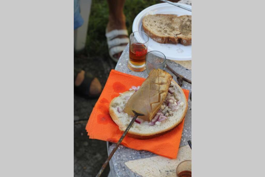Balla Mama, Hajdúszoboszló Εξωτερικό φωτογραφία
